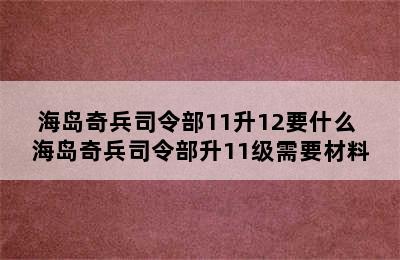 海岛奇兵司令部11升12要什么 海岛奇兵司令部升11级需要材料